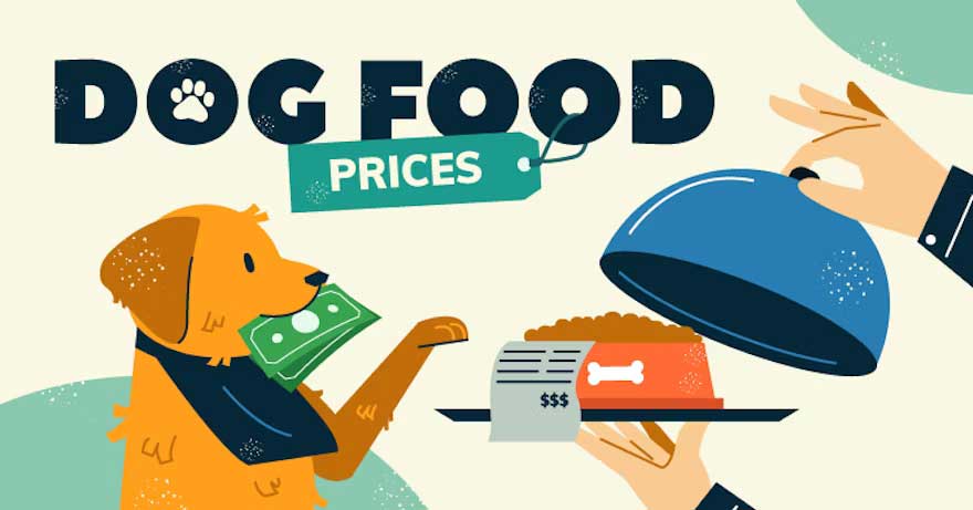 Header_The_Cost_of_Feeding_Your_Dog_in_Every_Country_and_US_State.jpg