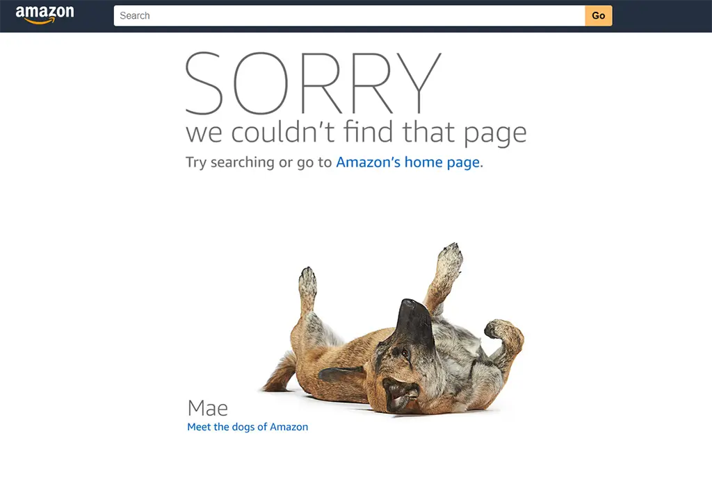 amazon 404.webp
